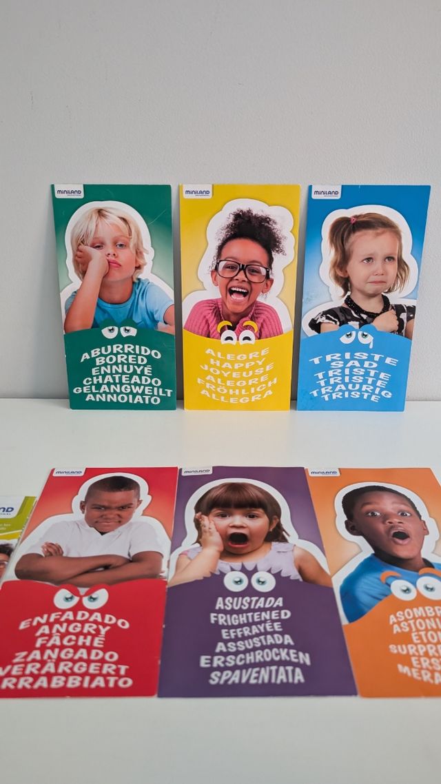 Miniland Emotiblocks - Emociones