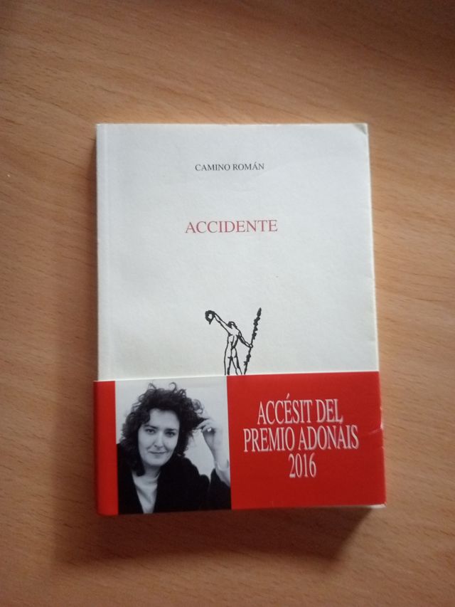 Camino Román - Accidente