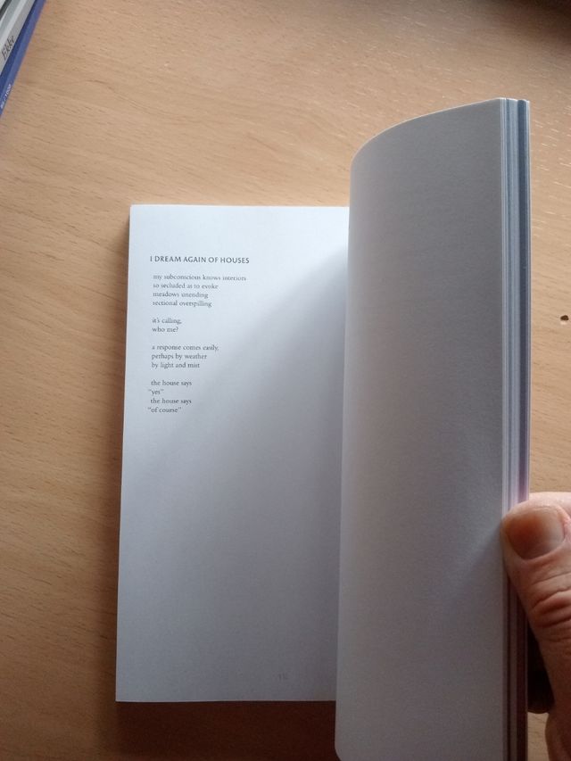 Rachel Rabbit White - Porn Carnival