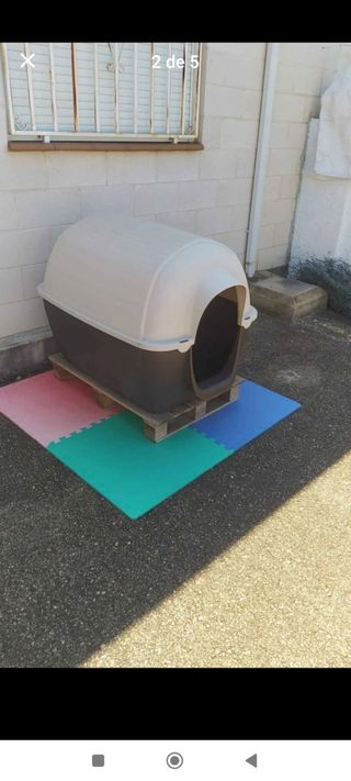 Caseta perro grande - Exterior