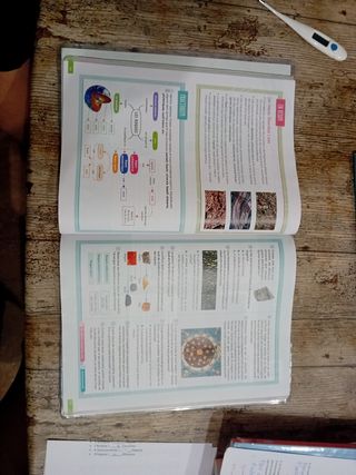 Biología i Geología. 1 Secundaria. Revola. Cruilla