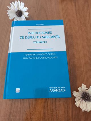 Instituciones de Derecho Mercantil. Volumen II