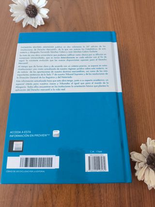 Instituciones de Derecho Mercantil. Volumen II