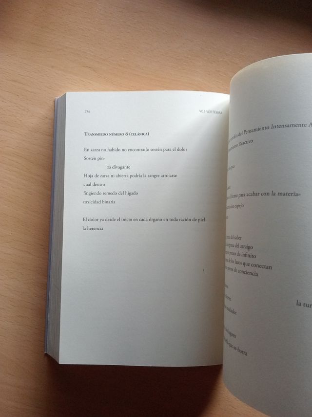 Voz vértebra: Antología poesía futura