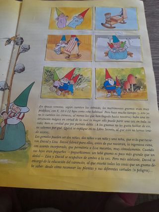Libro Lisa y David Gnomo + 3 figuras