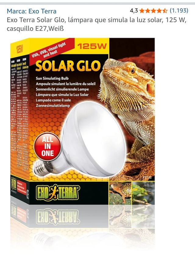 Terrario grande para reptiles