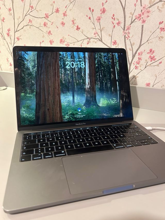 MacBook Pro 2018 Gris Plata