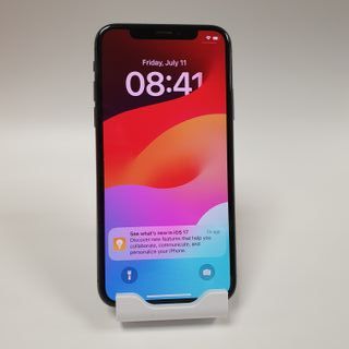 Apple iPhone XS Grigio 64GB 356169094054551
