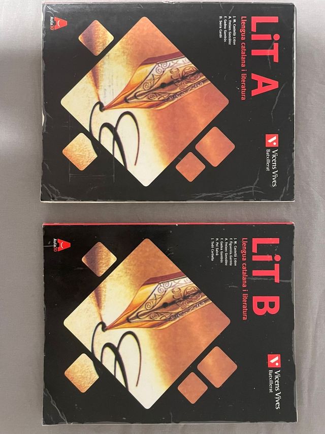 LIT B (LLENGUA CATALANA I LITERATURA BATX) AULA 3D