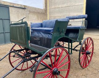 Carruaje caballo antiguo, con aperos 