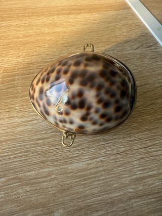Porta Pastiglie Conchiglia