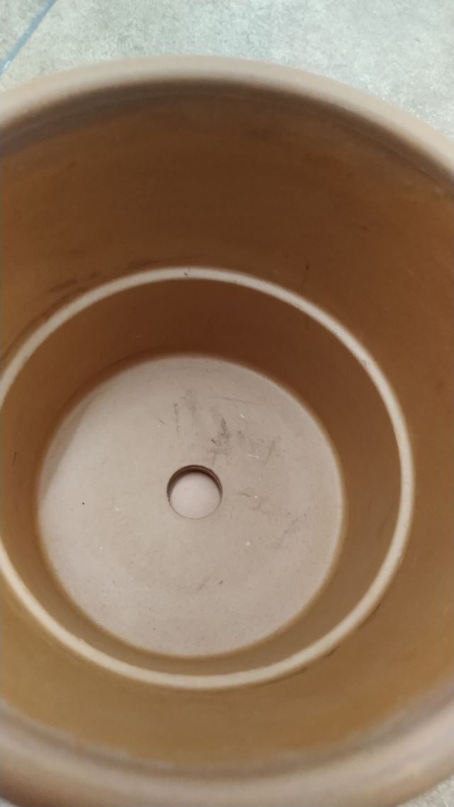 2 macetas terracota con plato