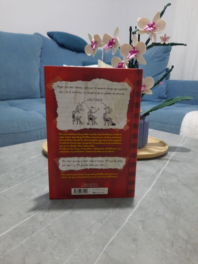 Diario de Greg 1 - Un pringao total