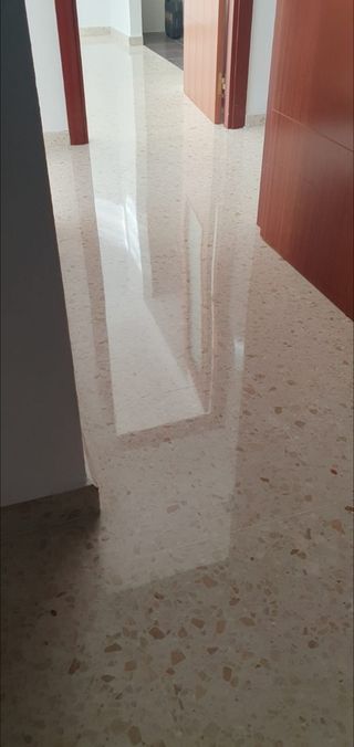 Abrillantadora suelos profesional