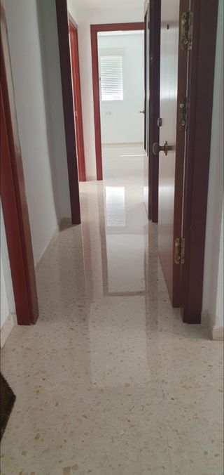 Abrillantadora suelos profesional