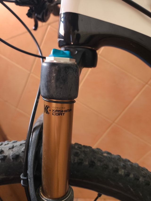 Orbea Alma M20 MTB Carbono