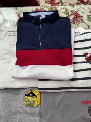 Lote 6 Camisetas Niño Zara 13-14, mas polo regalo