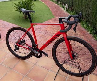 Bicicleta Canyon Endurace SLX Ultegra