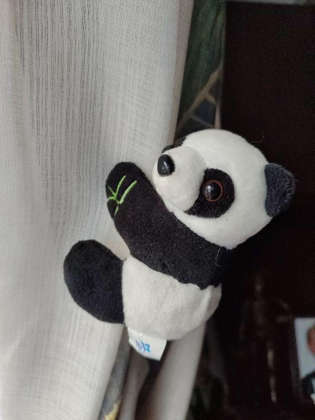 Panda pitipinza