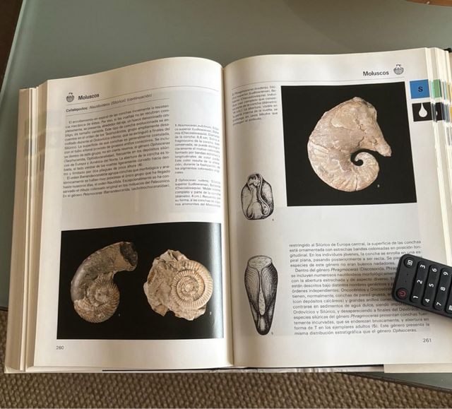 La Gran Enciclopedia de los Fosiles