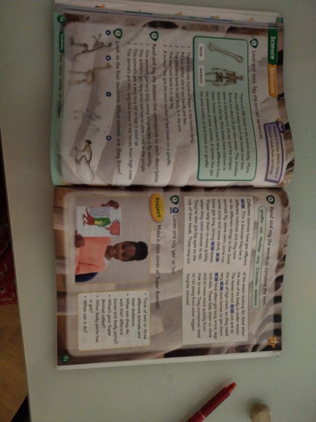 Kid's Box Level 4 Pupil's Book Updated English ...