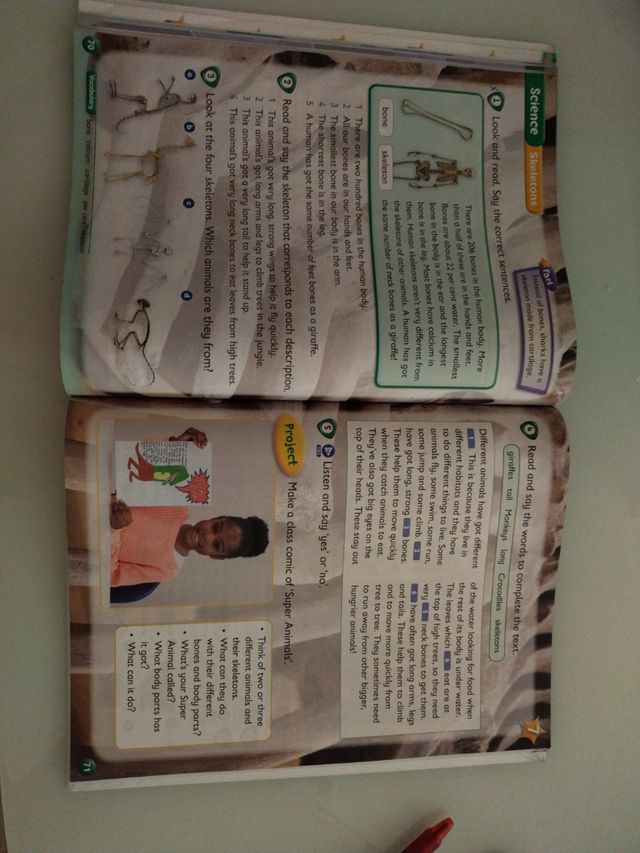 Kid's Box Level 4 Pupil's Book Updated English ...