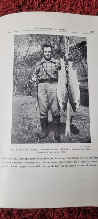 Libro antiguo: El salmón y su pesca en España