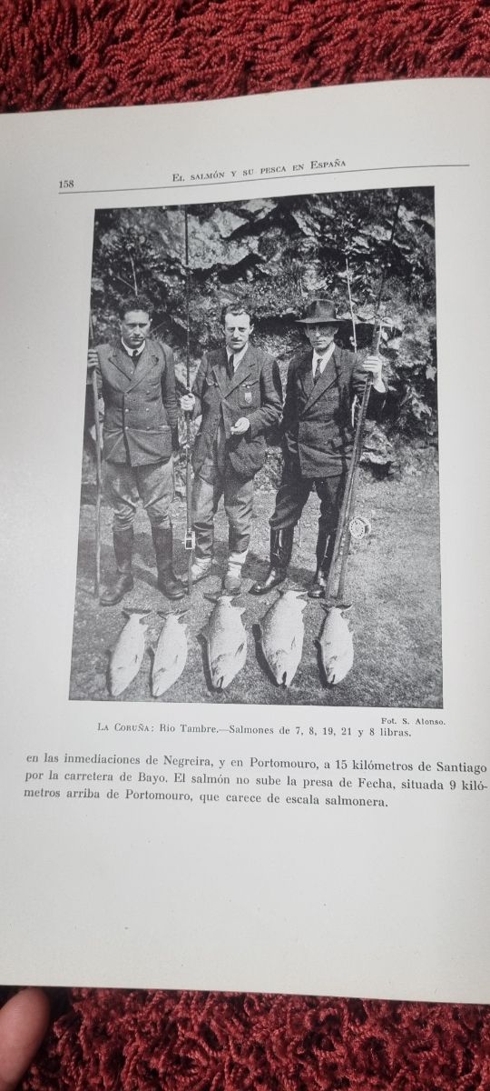 Libro antiguo: El salmón y su pesca en España