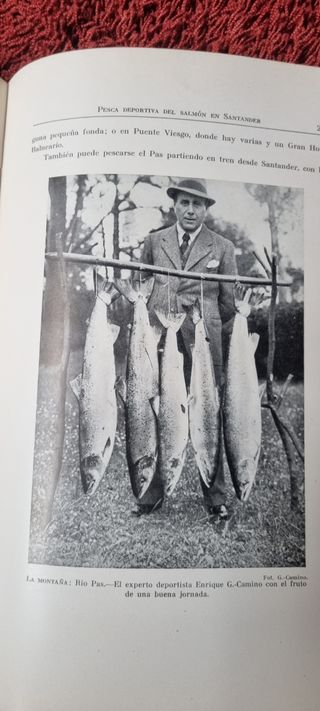 Libro antiguo: El salmón y su pesca en España