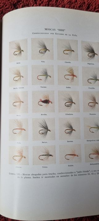Libro antiguo: El salmón y su pesca en España