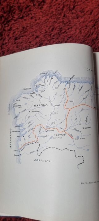 Libro antiguo: El salmón y su pesca en España