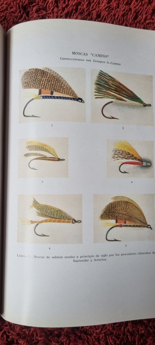 Libro antiguo: El salmón y su pesca en España