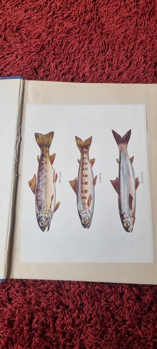 Libro antiguo: El salmón y su pesca en España