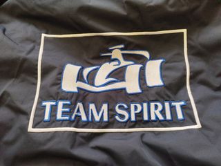 Chaqueta Renault F1 Alonso