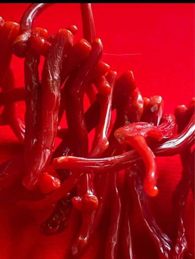 Collana Corallo Rosso