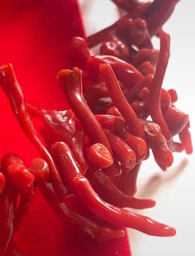 Collana Corallo Rosso