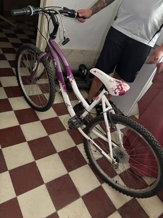 Bicicleta de mujer