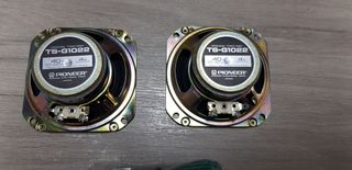 Altavoces Pioneer TS-G1022 (2)