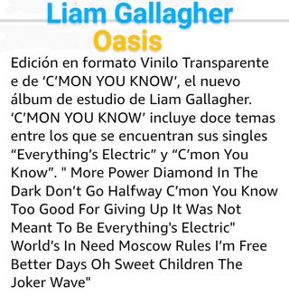 4x3 Liam Gallagher (Oasis)