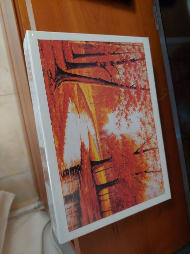 Puzzle 500 piezas - Otoño