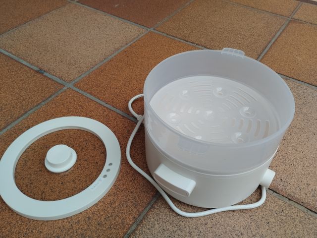 Olla vapor eléctrica