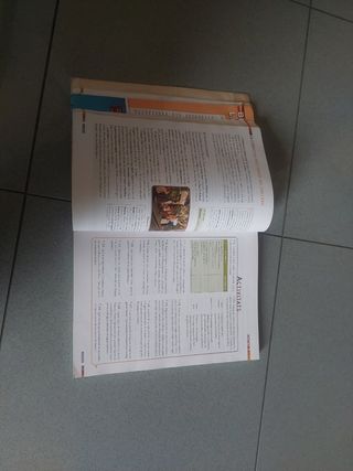 Llengua catalana i Literatura 1r Batxillerat. L...