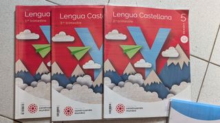 Lote libros de 5*de primaria