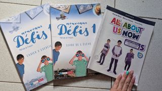 Lote libros de 5*de primaria