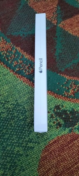 Apple Pencil (USB-C) Nuevo Precintado sellado