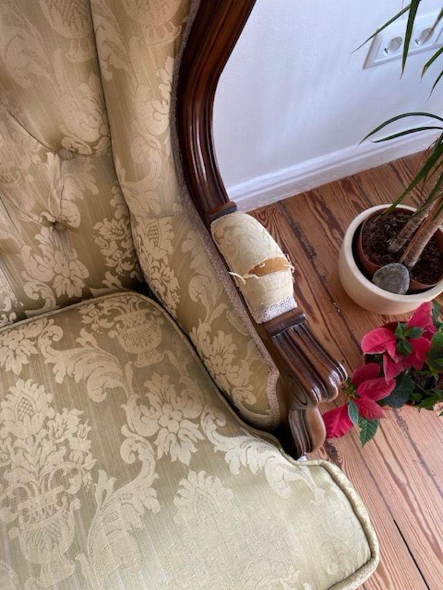 Sofá y sillon Luis XV, beige