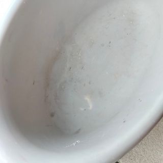 Triciclo bimbi usato