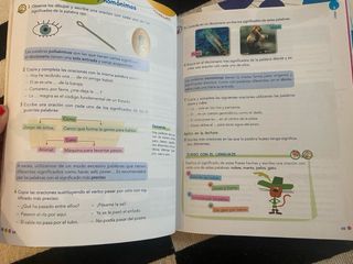 LENGUA 4 primaria