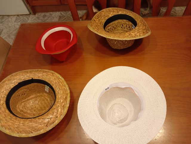 Lote de 4 Gorros - 2€