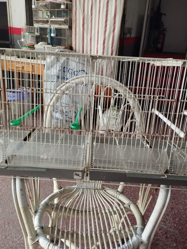 Jaulas pájaros - 2 jaulas grises